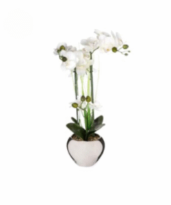 Kunstorhidee potis 53 cm – rent