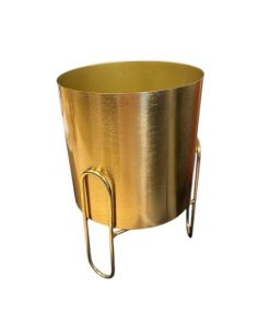 Pudeli küüler kuldne – rent