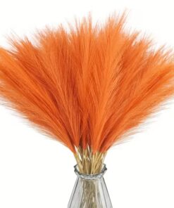 Pampase rohi – rent