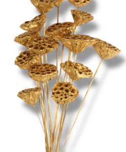 Kuldsed lootosed – rent