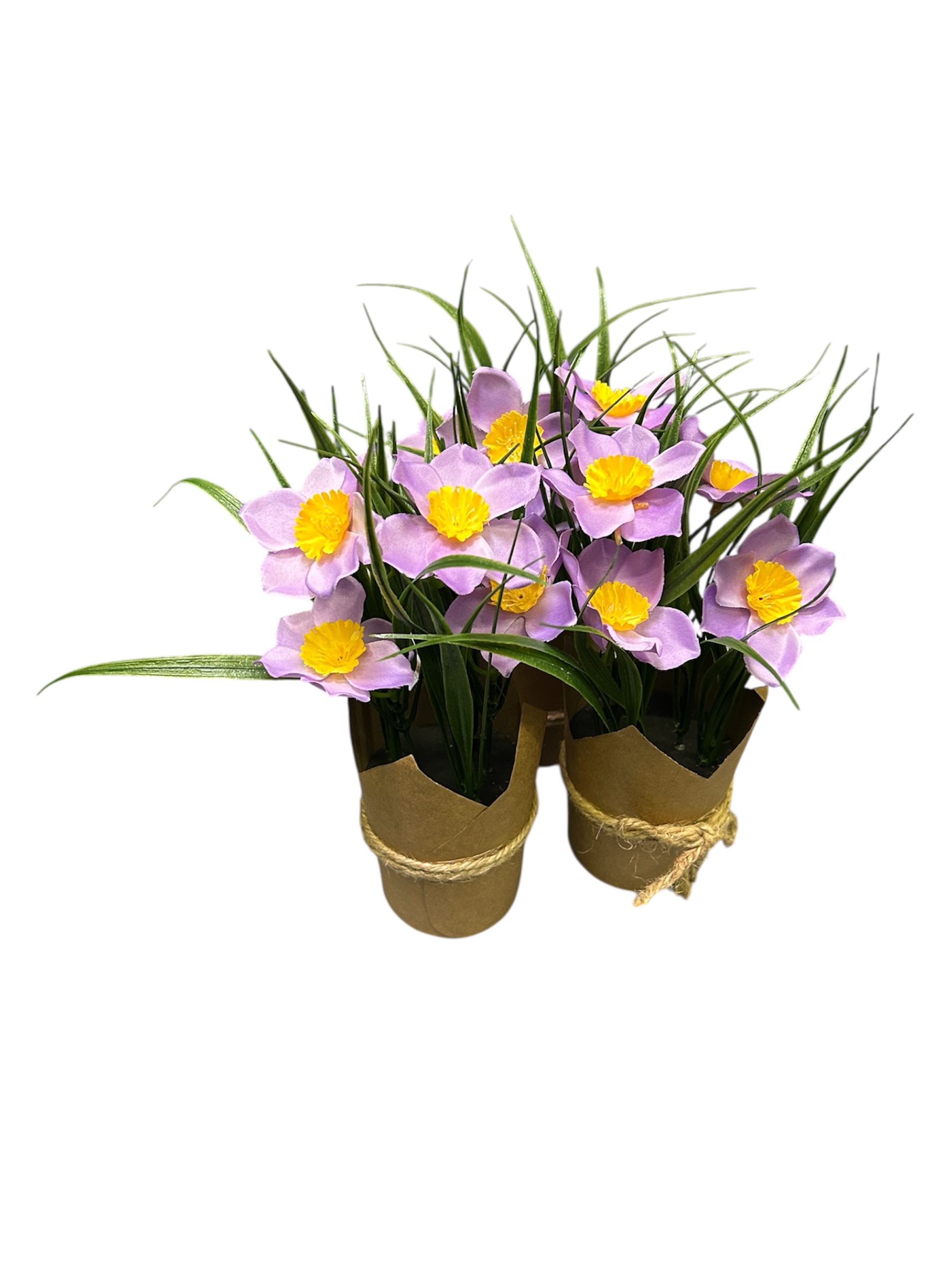 Kevadlilled – rent - Image 2